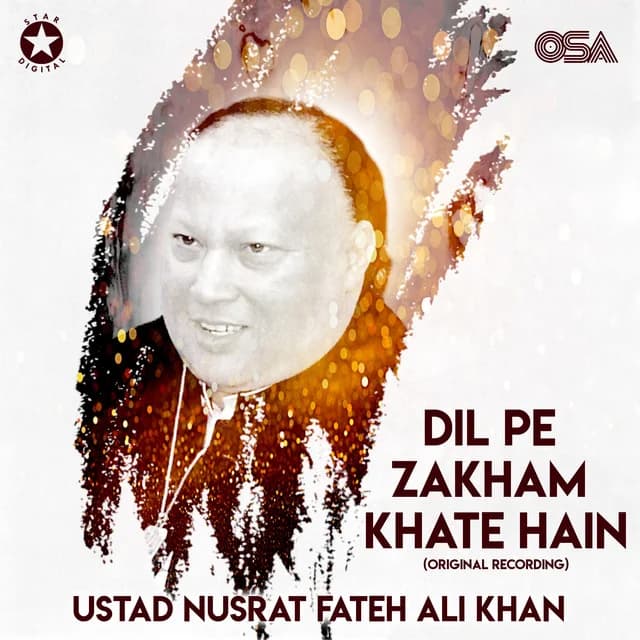 Dil Pe Zakham Khate Hain