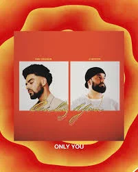 Only You by Pav Dharia – album cover
